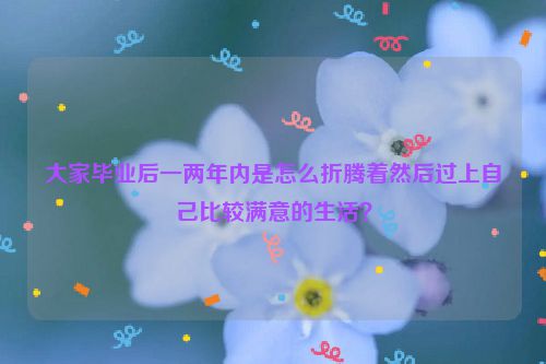 大家毕业后一两年内是怎么折腾着然后过上自己比较满意的生活？