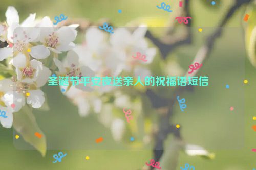 圣诞节平安夜送亲人的祝福语短信