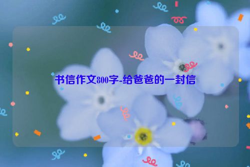 书信作文800字-给爸爸的一封信