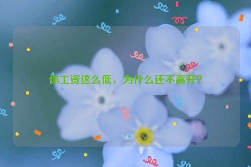 你工资这么低，为什么还不离开？