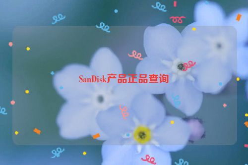 SanDisk产品正品查询