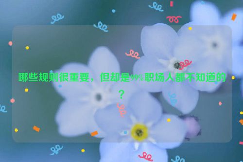 哪些规则很重要，但却是99%职场人都不知道的？