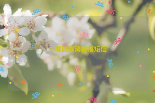 小寒的温馨祝福短信