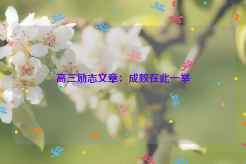 高三励志文章：成败在此一举