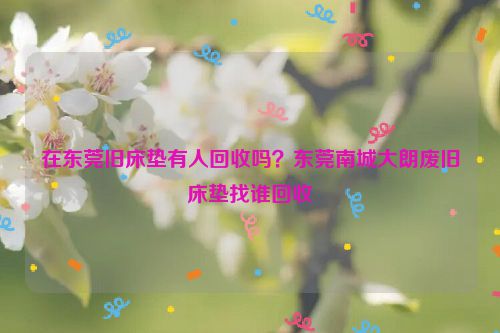 在东莞旧床垫有人回收吗？东莞南城大朗废旧床垫找谁回收