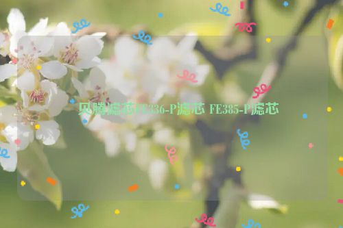 ​贝腾滤芯FE336-P滤芯 FE385-P滤芯