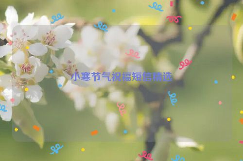 小寒节气祝福短信精选